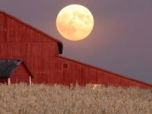 September's Full Moon - The Full Harvest Moon