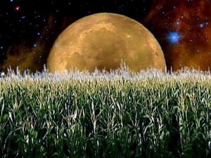 September's Full Moon - The Harvest Moon