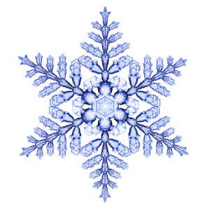 Picture of a snowflake, created in the lab and photographed by CalTech physics professor Kenneth G. Libbrecht. (Courtesy of Kenneth G. Libbrecht) - How To Make Science Projects For Kids - Fun Facts About Snowflakes