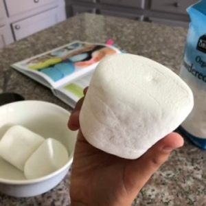 Big Marshmallow from 101 Coolest Simple Science Experiments | Review